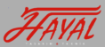 hayal tasarım teknik logo